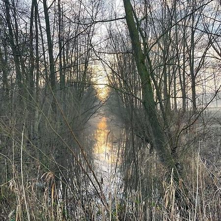 Houseboot Kingfisher, Lake View Biddinghuizen Exterior foto